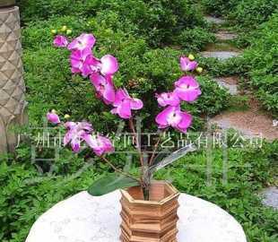 蝴蝶蘭 單枝仿真花卉，點亮居家空間的雅致之選